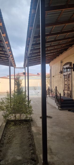 6 sotixli kotdej sotiladi