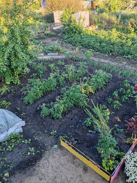 Продам дачу в черте города