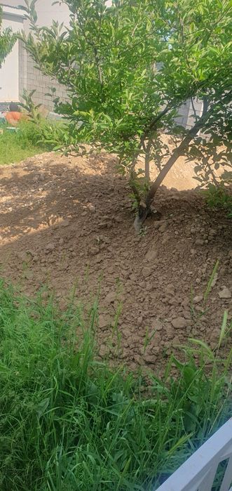 Грунт земля почва