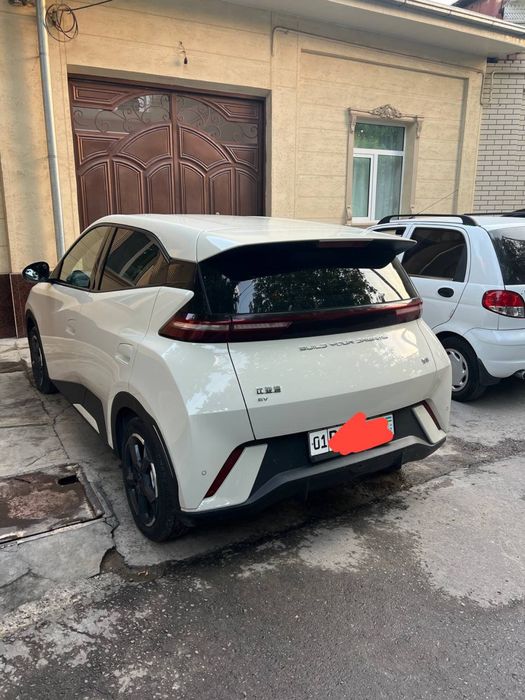 Byd seagul sotiladi