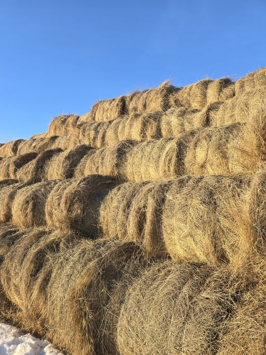 Рулоны пр 110 200 кг