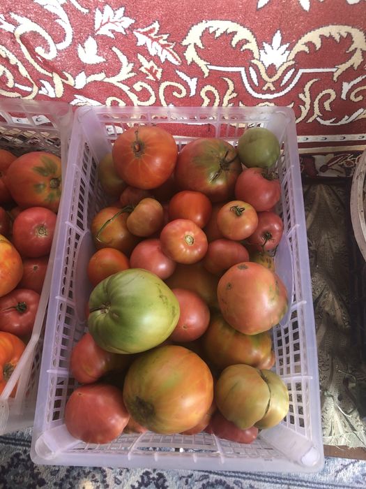 Продам домашние помидоры