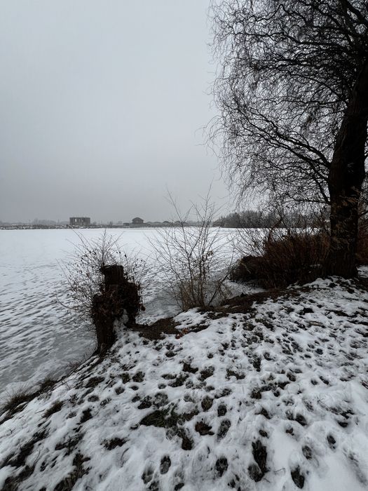 Участок 12 соток