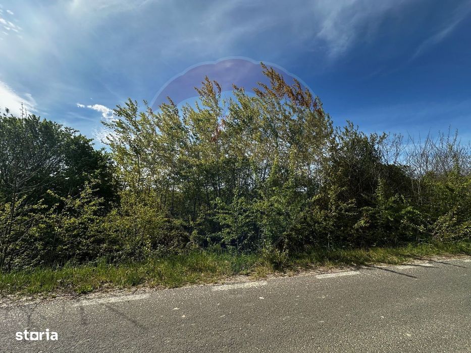 Tautii-Magheraus - TEREN  DE VANZARE