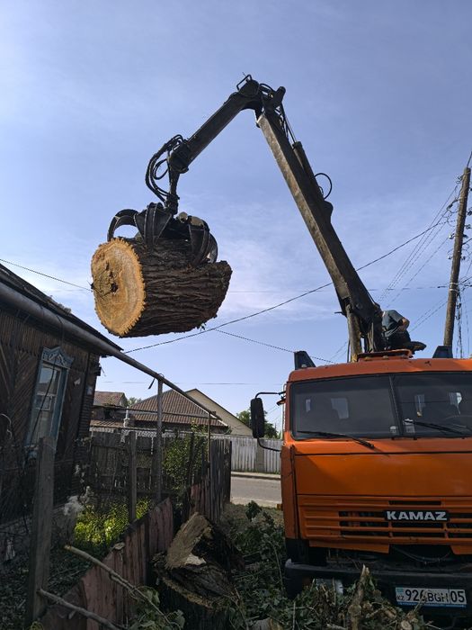 Спил деревевь и обрезка