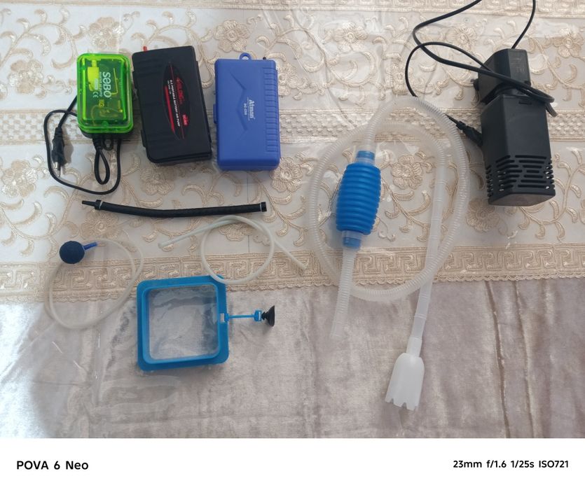 Akvarium Baliqlari sotiladi