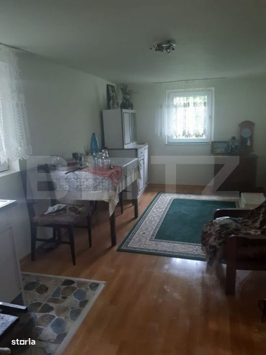 Casa de vanzare, Poiana Blenchii