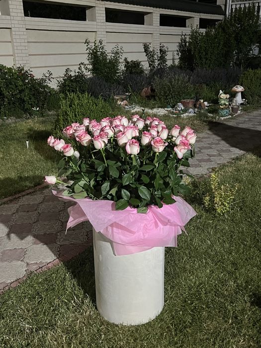 продам цветы большой