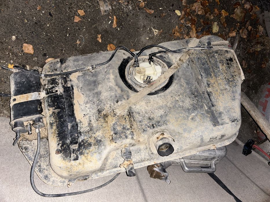 Бак Ганта Калина