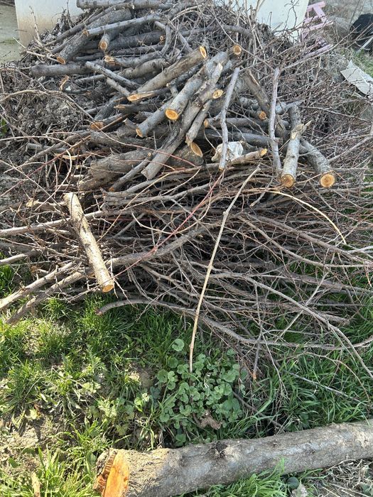 Отын Отын Отыннннннннн тегін Шымкент