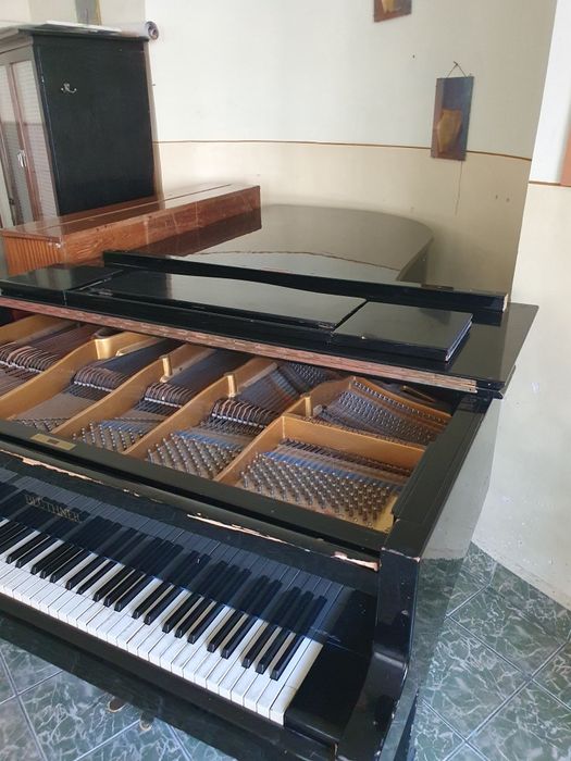 Pian de concert Bluthner.