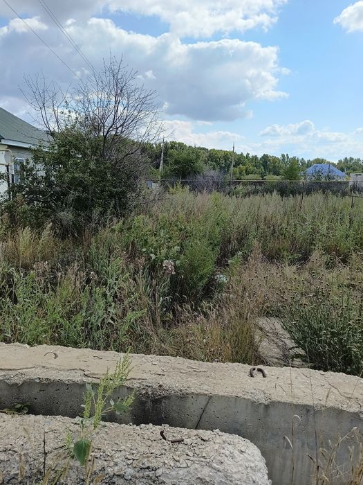 Дачный участок, без домика