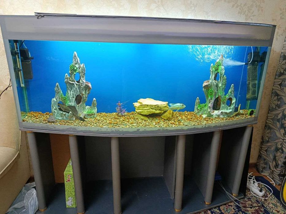 Продается аквариум с парчовыми сомиками
