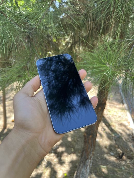 Iphone 14 pro max iclpud