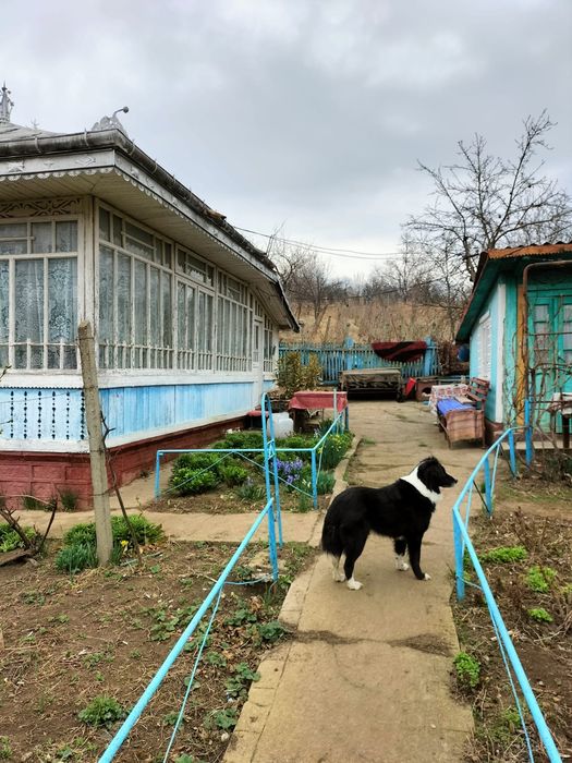 Casa vânzare  Comarna la str principala