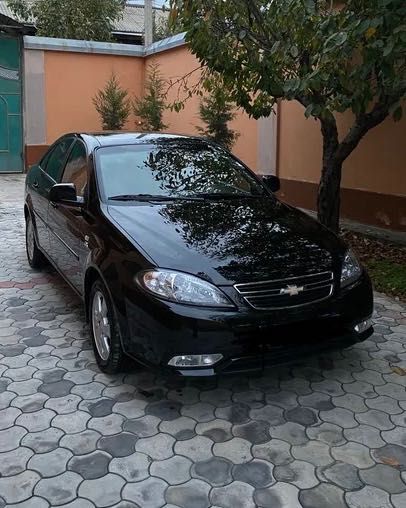 Қора “Jentra” 2024 йил