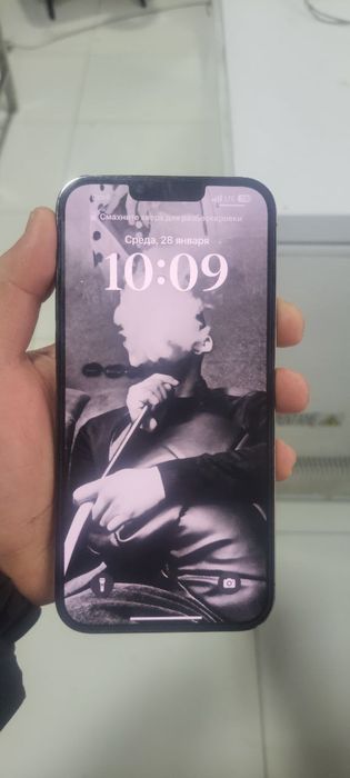 Iphone 13 pro max 256 gb