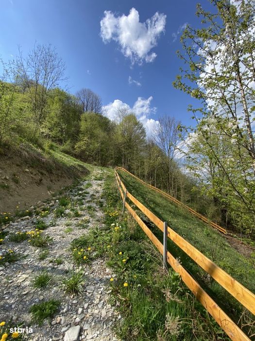 Teren vedere panoramica lacul Paltinu si dealuri in Valea Doftanei