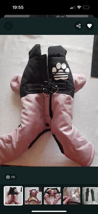 Кучешки дрехи и нашийници