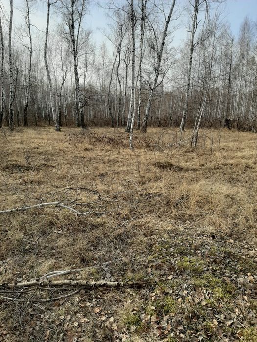 Vânzare teren intravilan