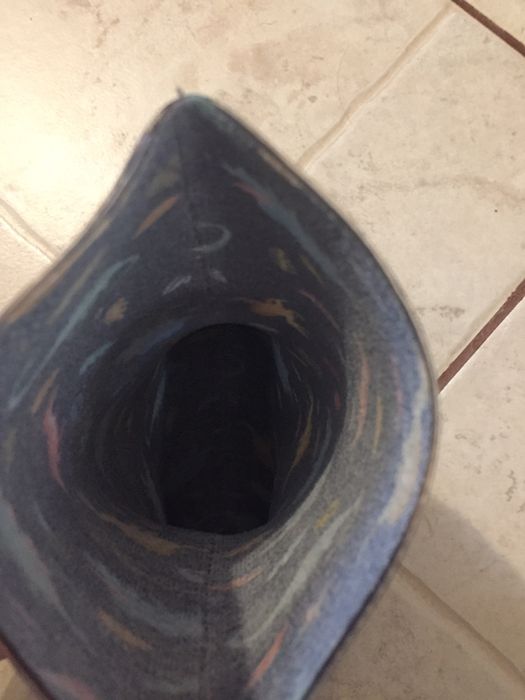 Cizme cauciuc Dinozauri