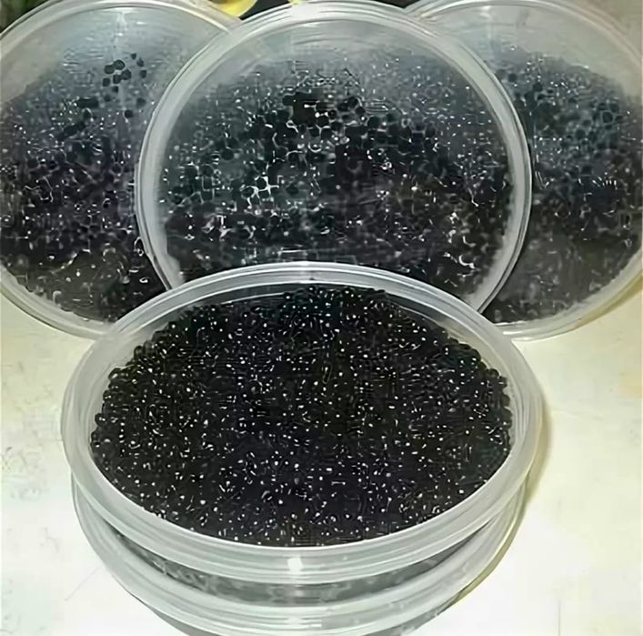 Икра оптом и в розницу