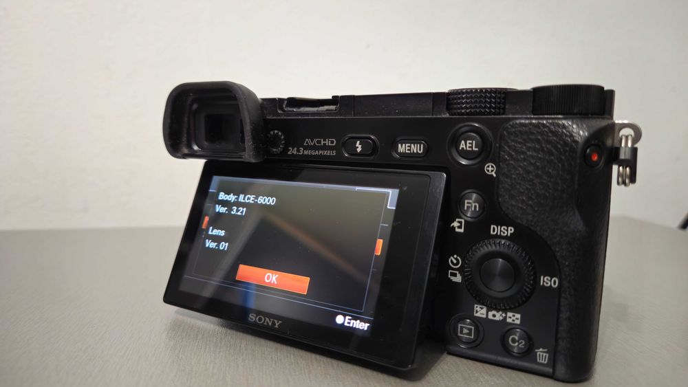 Sony Alpha ILCE a6000 | 16-50mm 3.5-5.6f | 20113 cadre