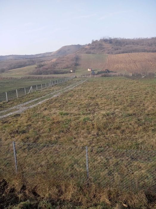 Teren de vînzare in Nicula