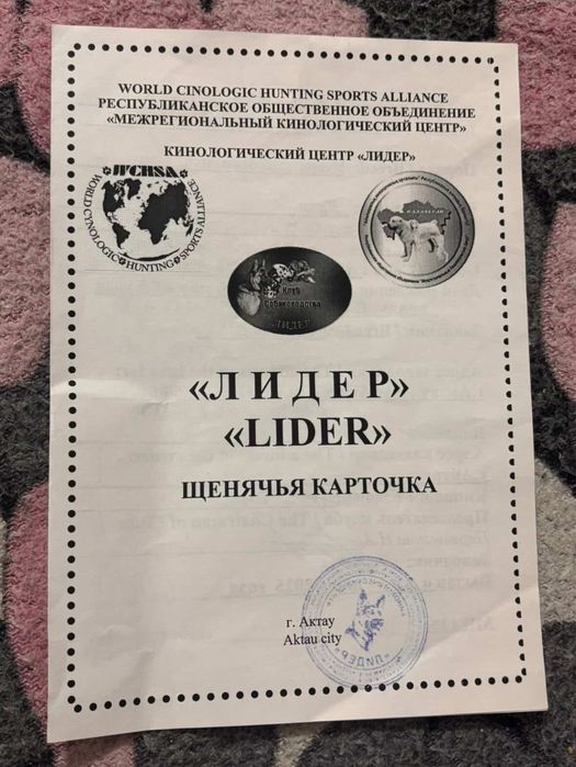 СРОЧНО в добрые руки