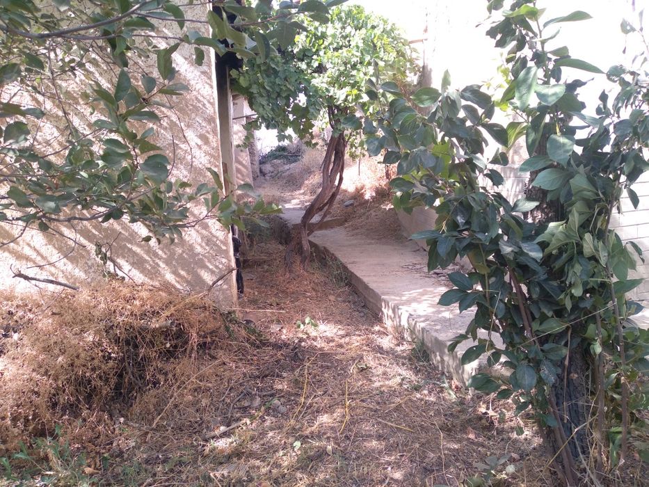 17 sotix barcha qulayliklarga ega xovli sotiladi