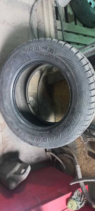 Юкогамма  покрышки