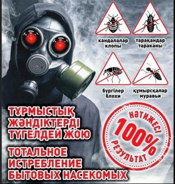 Дезинсекция помещения