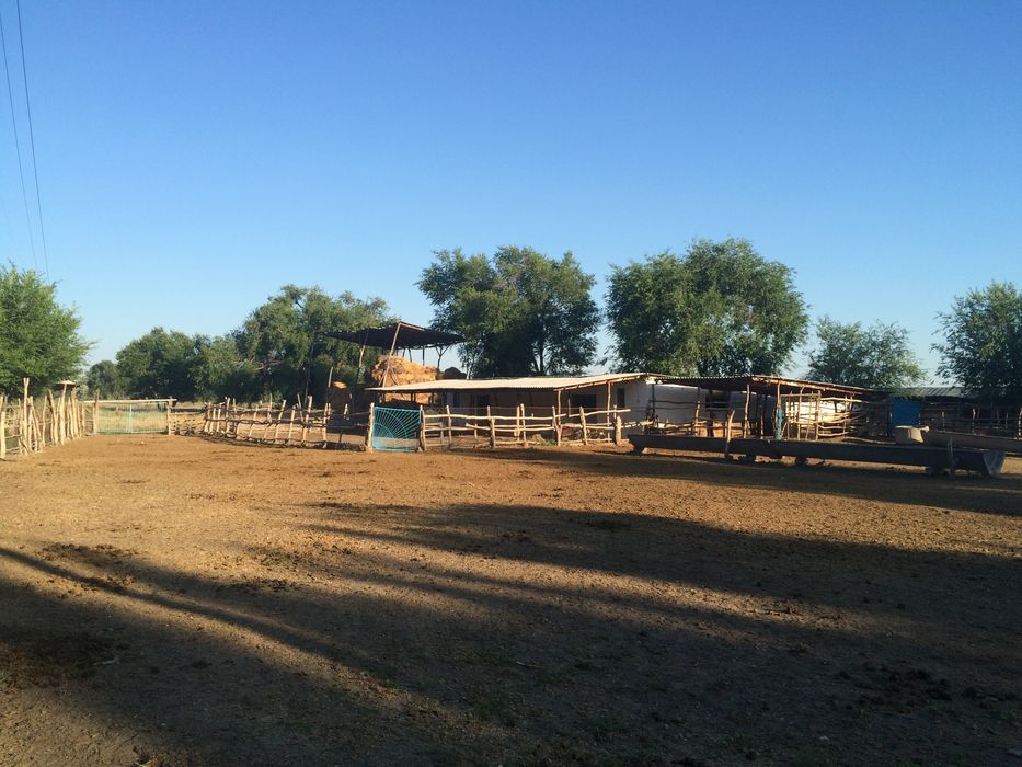 Продам участок,под ЛПХ,КХ