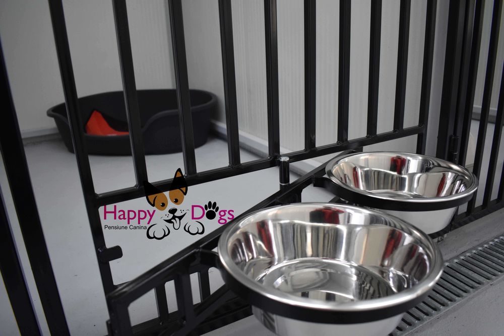 Kennel von Abgrund - Pet Sitting - Cazare Caini
