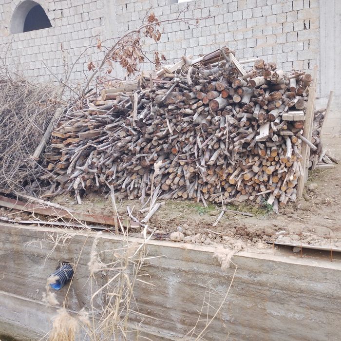 Утин дрова кесилган