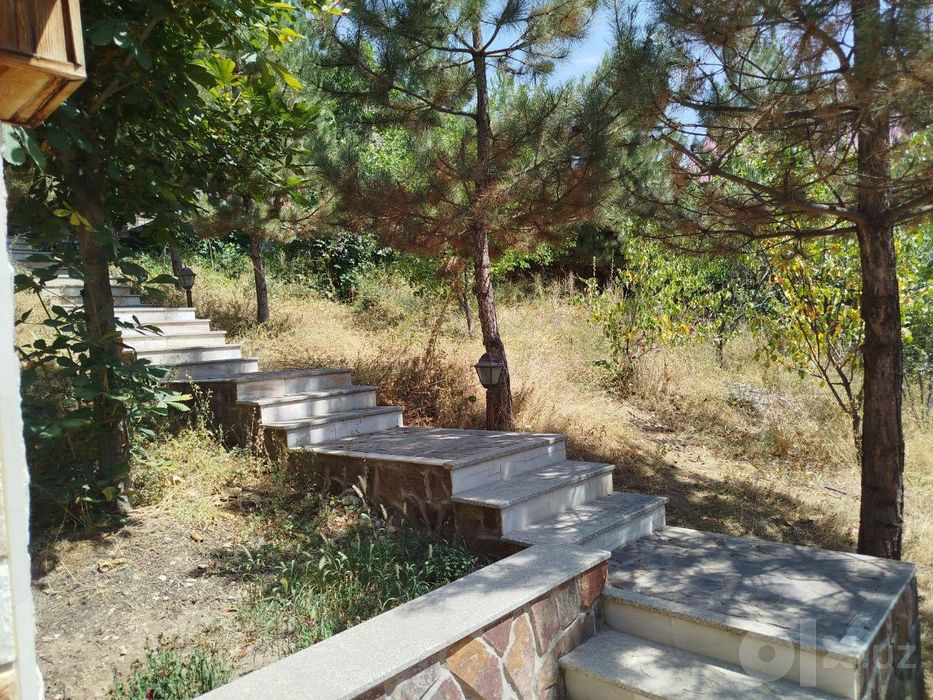 Chimyonda Dacha sotiladi