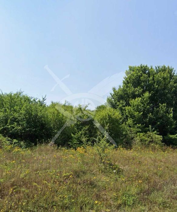 Продава се Парцел в с. Бяла вода, Област Бургас - 5000 кв.м за 18 €/кв.м - Снимка #3