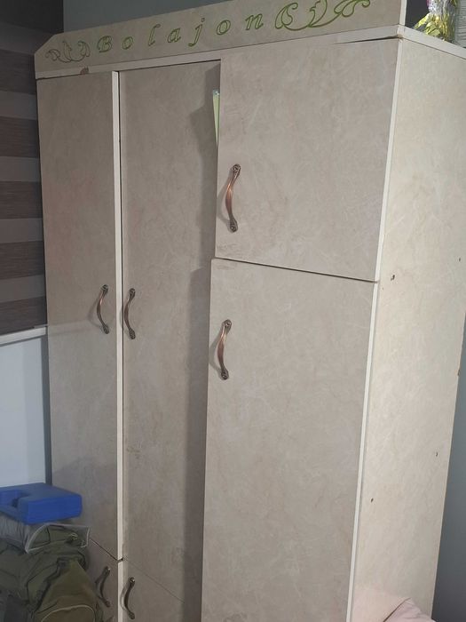 Detskiy shkaf, detksiy krovat (pushti), televizor