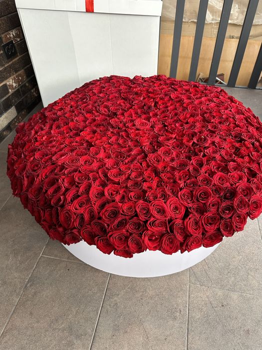606 роз коробка гигант