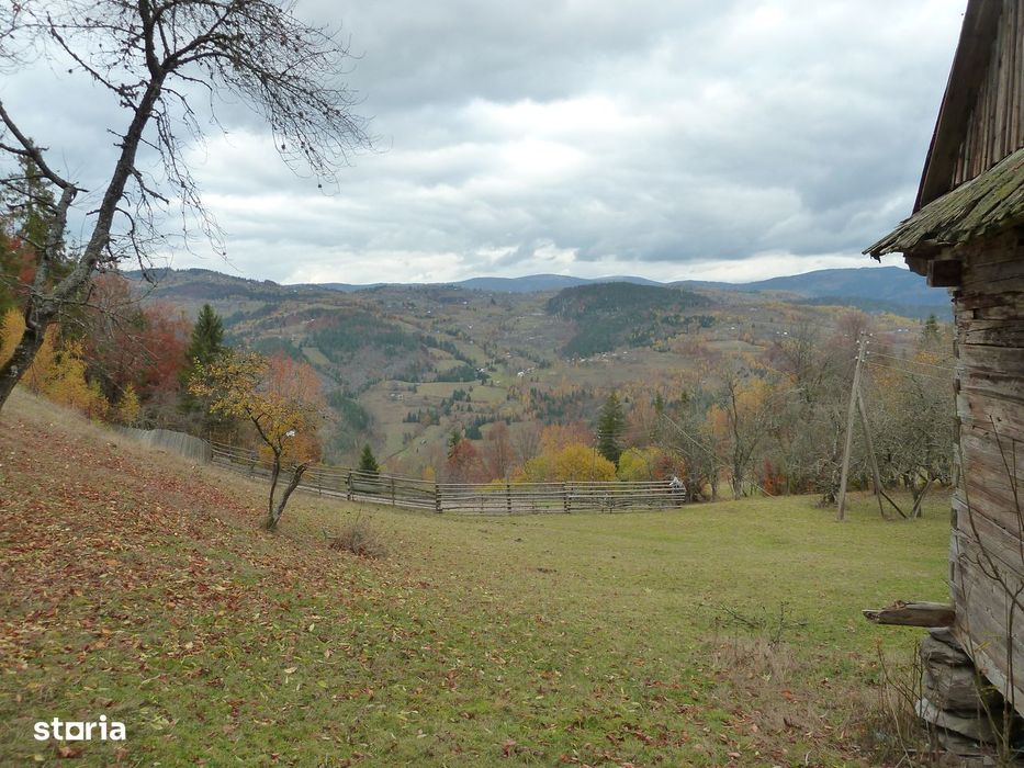 Casă + 4,4 ha (arabil, pășune, pădure), Scărișoara, Alba