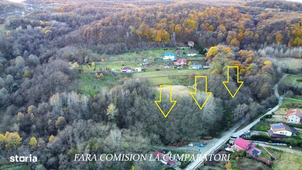 Teren Construibil, Partial Impadurit, 4726 mp Intravilan