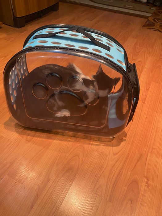 Genta de transport pentru pisici