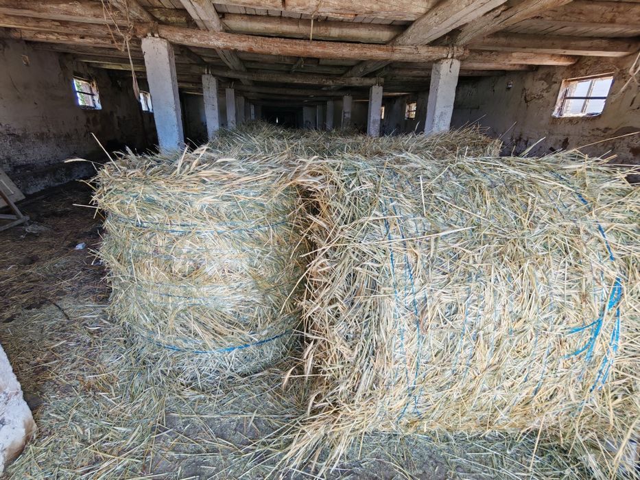 Baloti rotunzi(Borcea.,ovaz,triticale,mazare)250 lei