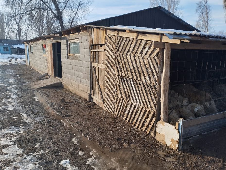 20 соттық үй сатылады