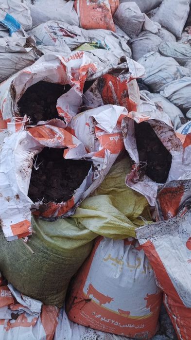 Gong qoy i yunusobodda