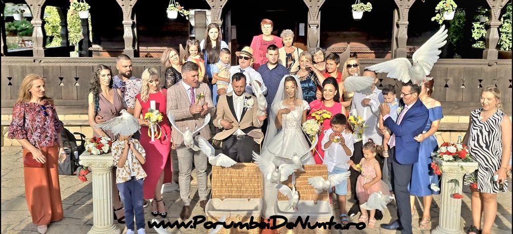 Porumbei albi pentru nunta Constanta