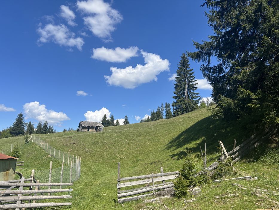 Teren de vanzare Tihuta