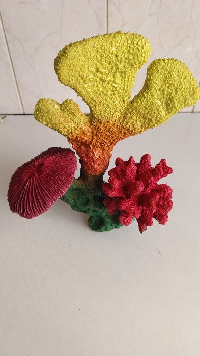 Akvarium va dekaratsyalar sotiladi