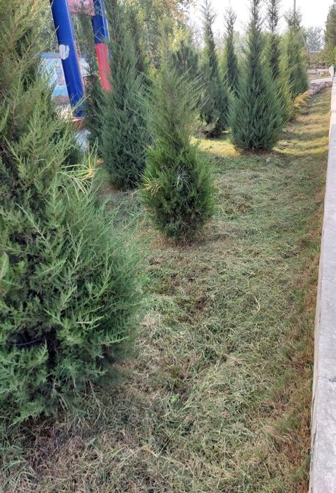 Заправка сотилади 12 сотих йер майдони! Нархи 85 000$. Манзил Кува т