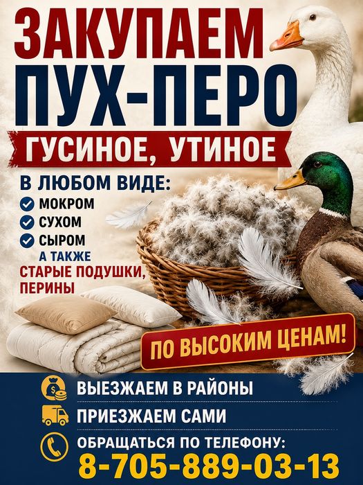 Пух перо подушки
